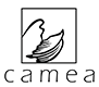Camea Instytut Urody Logo